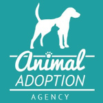 Animal Adoption Agency