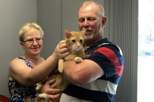 Buttons finds a home!