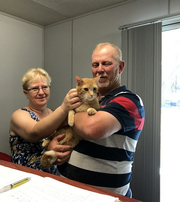 Buttons finds a home!
