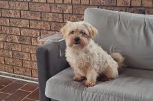 Benson