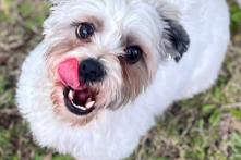 Coco