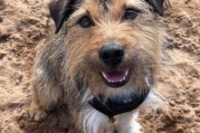 Muttley