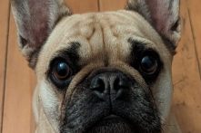 Charlie