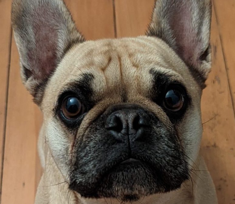 Charlie